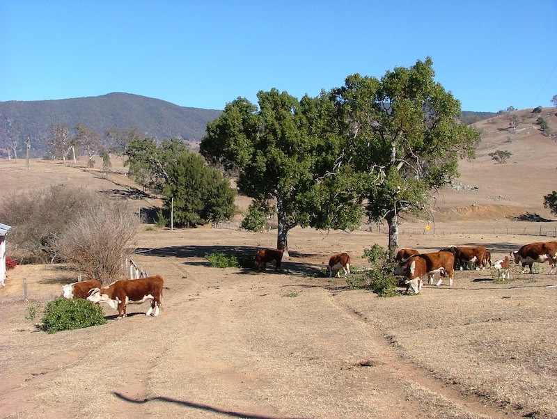 How to protect your farm against foreclosure