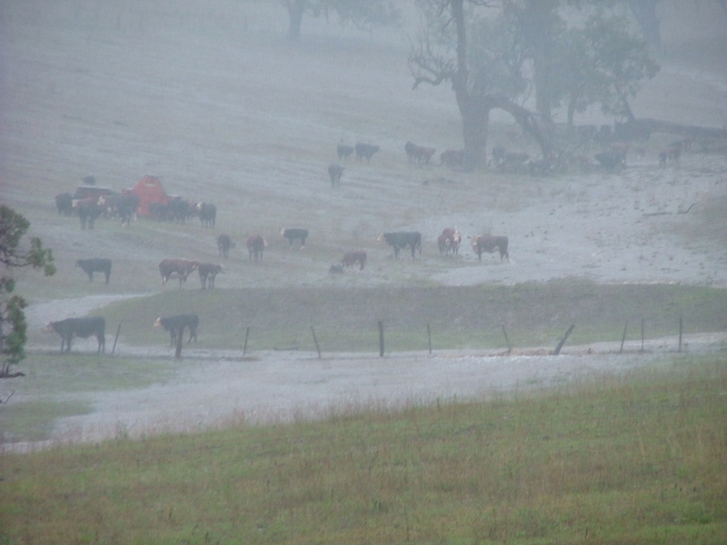 How to protect your farm against foreclosure